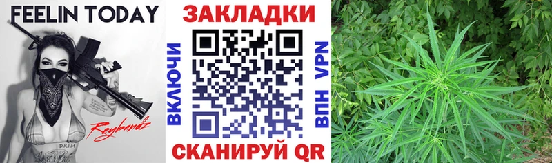Все наркотики Борзя Канабис  мега tor  МЕФ  СОЛЬ 