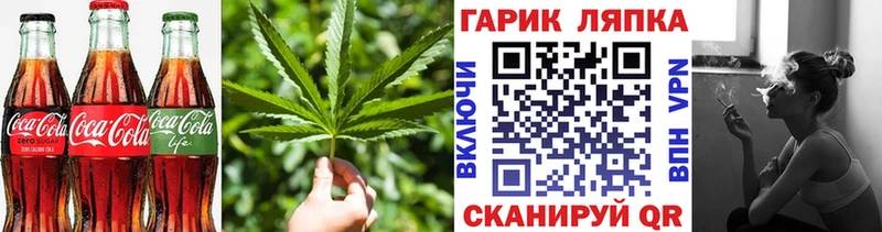 купить наркотик  Борзя  блэк спрут ссылка  Canna-Cookies марихуана 
