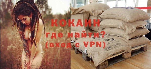стаф Пестово