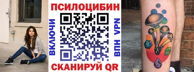 как найти   Борзя  Галлюциногенные грибы прущие грибы 